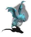 波波龍